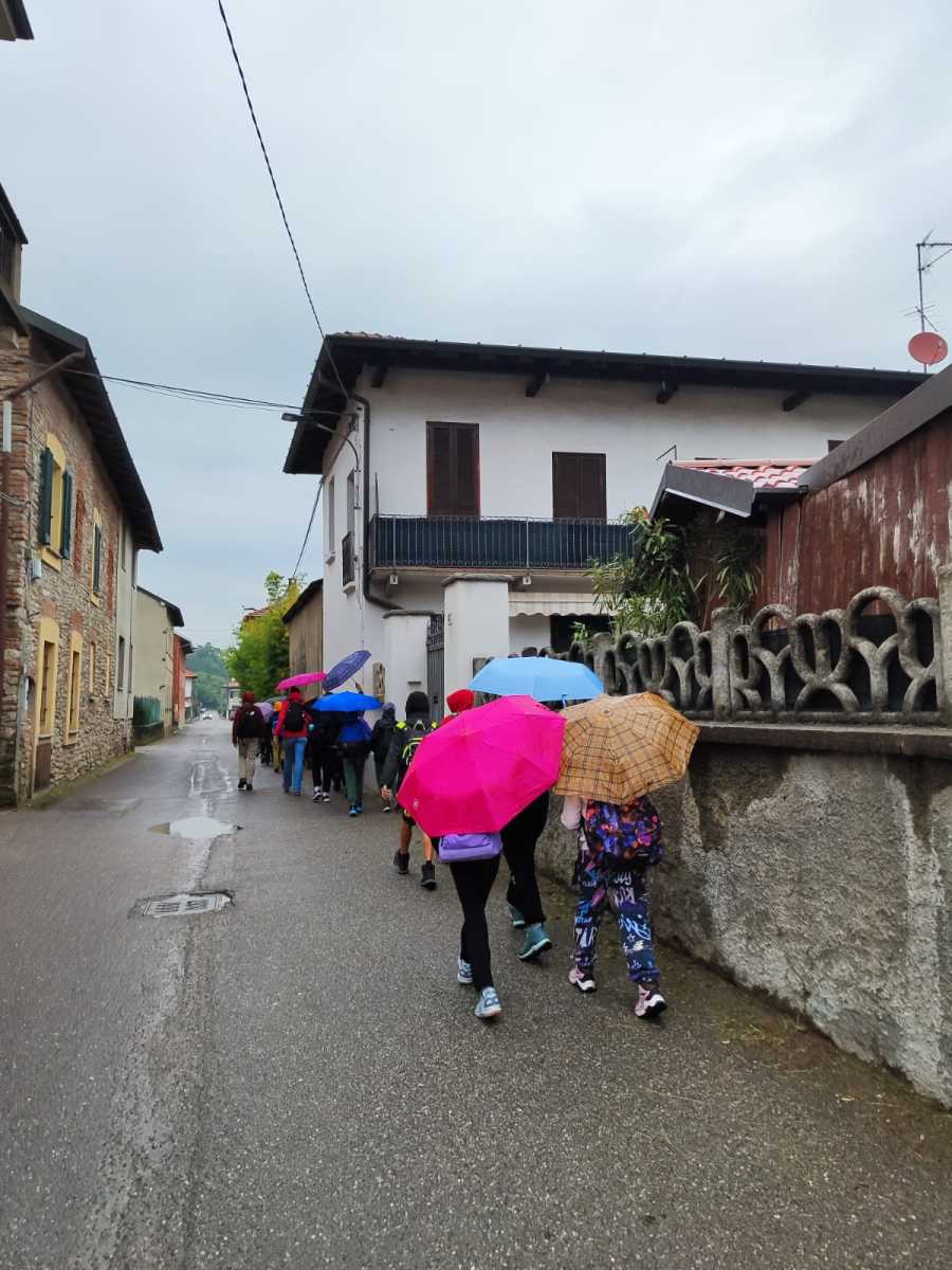 In cammino verso la palude